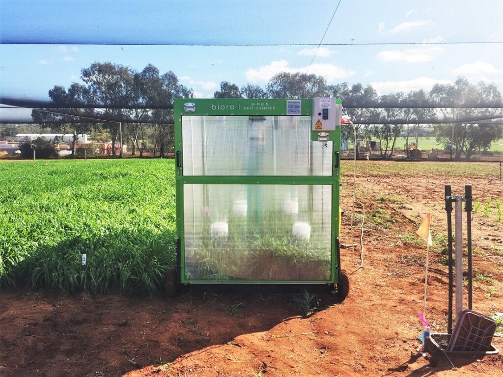 In-Field Heat Chamber